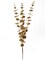 18" Glitter Eucalyptus - Set of 48, Sparkling Holiday Accents, Ideal for Christmas Decor & Floral Arrangements - Perfect for Home, Office - 2024 Christmas Collection, Floral Home by Artificial Flowers